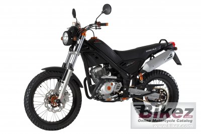 2010 Rieju Tango Pro 125 photo
